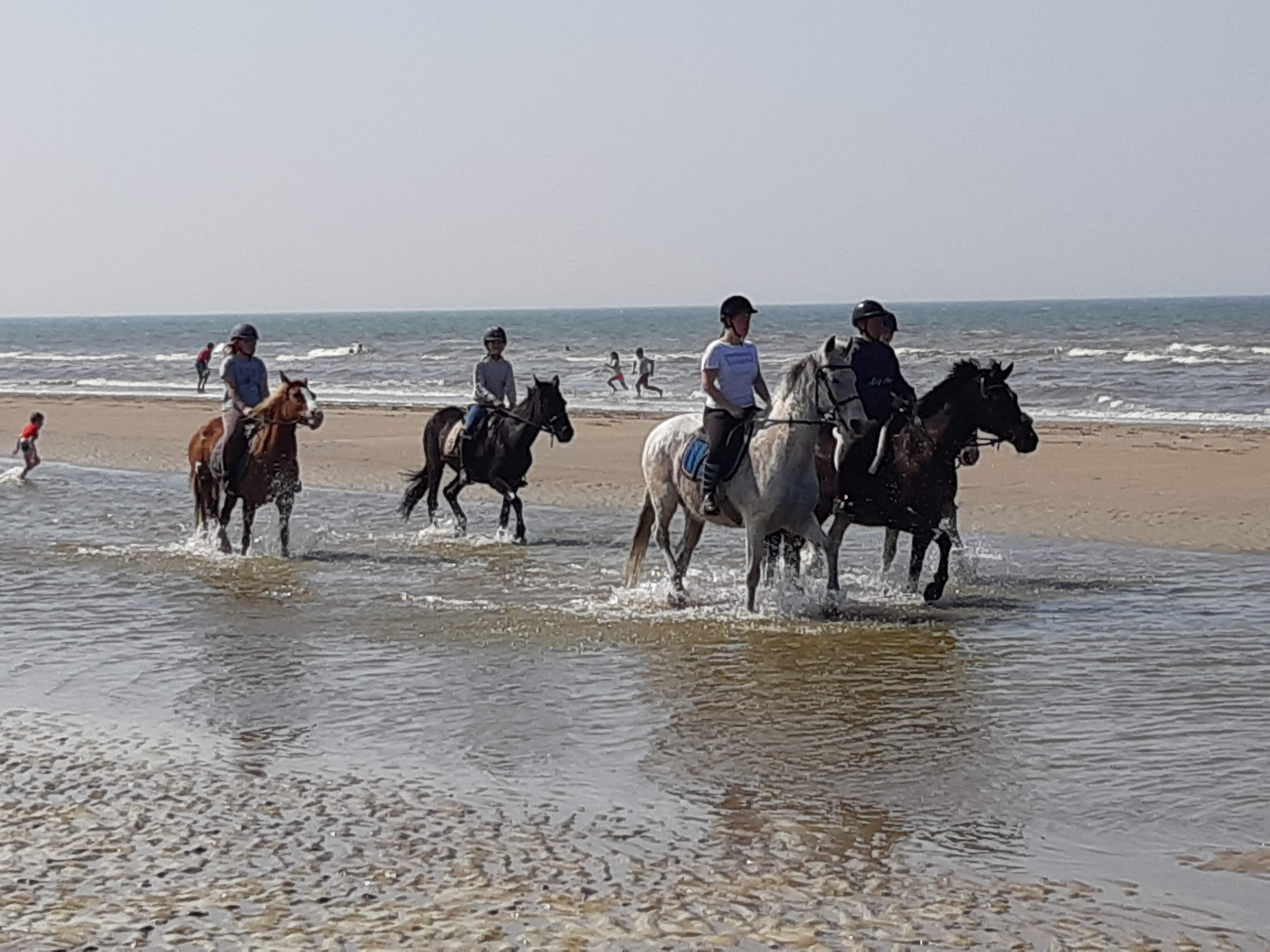 Buitenaanzicht - locatie en omgeving